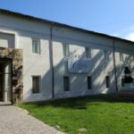 mic di faenza