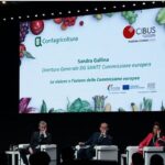 convegno
