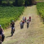 escursione in bici