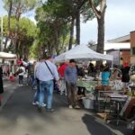 foto mostra scambio gambettola