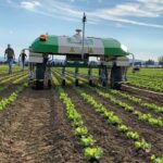 smart agricoltura