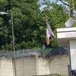 tricolore liso