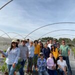 Driscolls blueberry breeding team 2022
