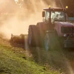 agrifood