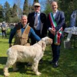 spinoni e sindaco