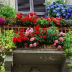 terrazza-fiorita