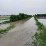 alluvione