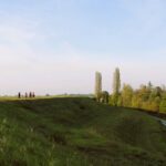 argini_baricella