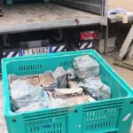 bins pronti per la partenza