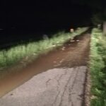 fiume ravenna