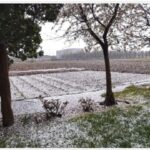 grandine in campagna