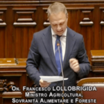 ministro lollobrigida
