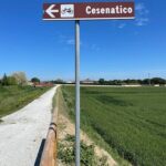 nuova-segnaletica