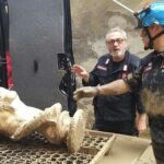 un’opera appartenente alla gipsoteca in partenza