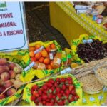 stand coldiretti