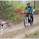 Bike Joring
