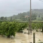 campo allagato