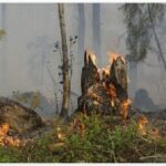 incendio