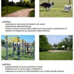 lotti