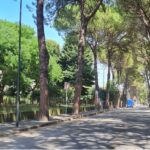 viale