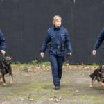 cani antidroga pl bologna