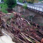 vegetazione-ponte-alluvione