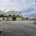 WhatsApp Image 2023-09-05 at 07.56.32