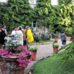 image-28