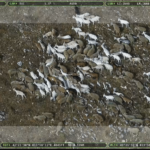 image-38