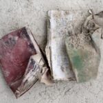 libri fango 2