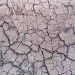 siccita_cooperative (4)