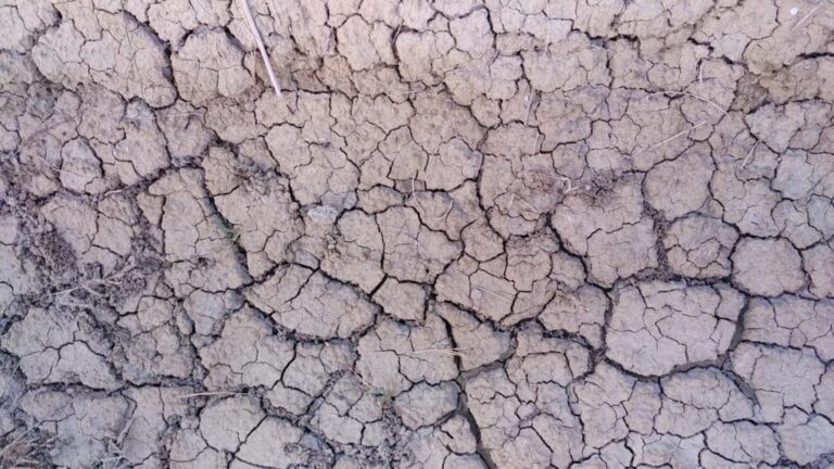 Clima, Isac Cnr: “I primi 4 mesi del 2025 i più caldi di sempre”. L’allarme di Coldiretti