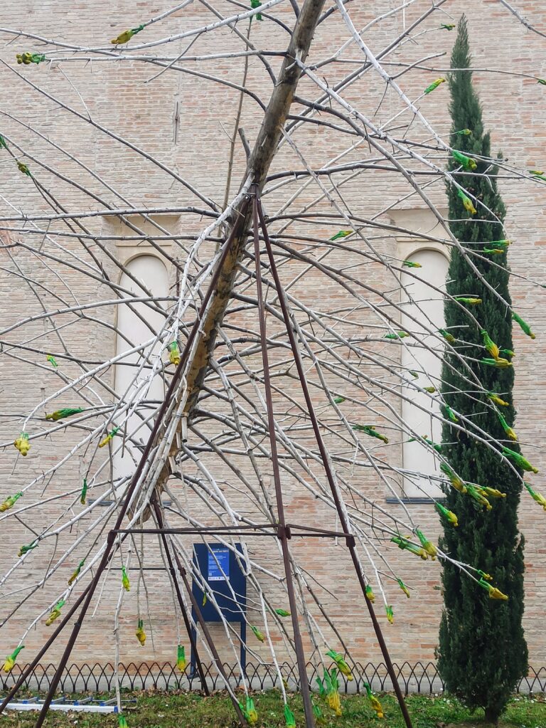 Forlì, Albero dei Tutti: doppio appuntamento