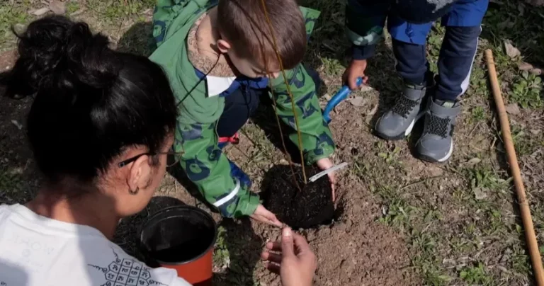 Cesena, Piantati cento nuovi alberi al parco Ippodromo per curare le ferite provocate dall’alluvione