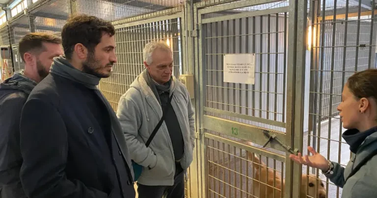 Conclusi i lavori di ampliamento e adeguamento del canile intercomunale di Rio Eremo