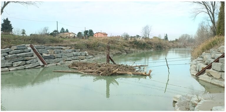 Post alluvione, la briglia sul Savio, nel cesenate, in 3 mesi ha fermato 90 metri cubi di legname trasportati dalle piene