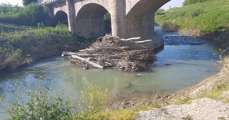 Post alluvione, comitato di quartiere Romiti (Forlì) preoccupato per mancata messa in sicurezza del territorio