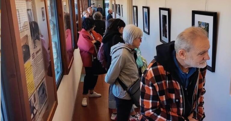 Il Museo dell’Ecologia di Cesena sarà gestito nel prossimo triennio dalla cooperativa Atlantide