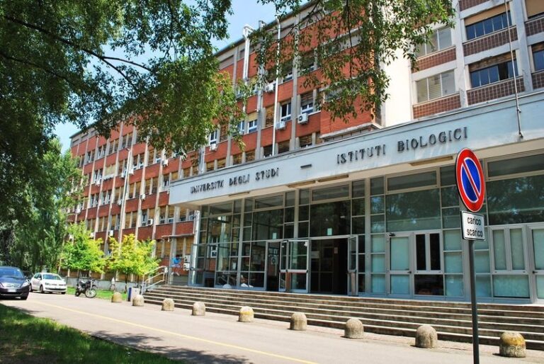 UniMoRe co-organizza la conferenza annuale della Piattaforma Ue sulle nanotecnologie nel settore sanitario