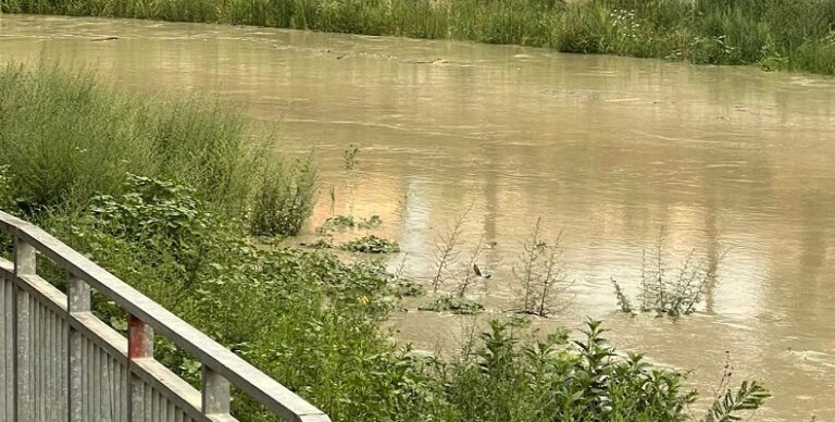 Maltempo e allagamenti, il Quartiere Romiti chiede certezze sulla sicurezza del territorio