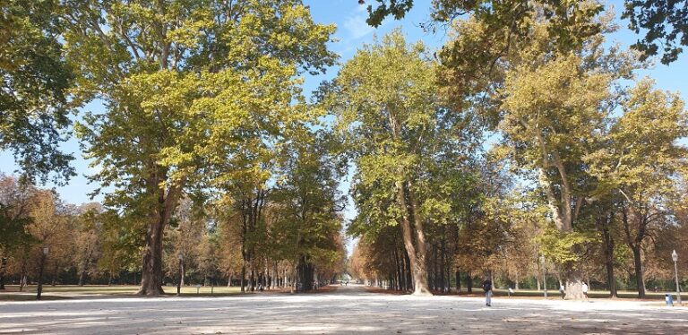 Anche 600 giardini storici dell’Emilia-Romagna nel nuovo Catalogo generale dei beni culturali italiani
