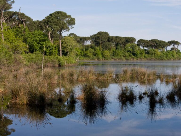 Ravenna, fondi Ue per il miglioramento ambientale dell’area del Lamone, valle della Canna e Pialassa Baiona