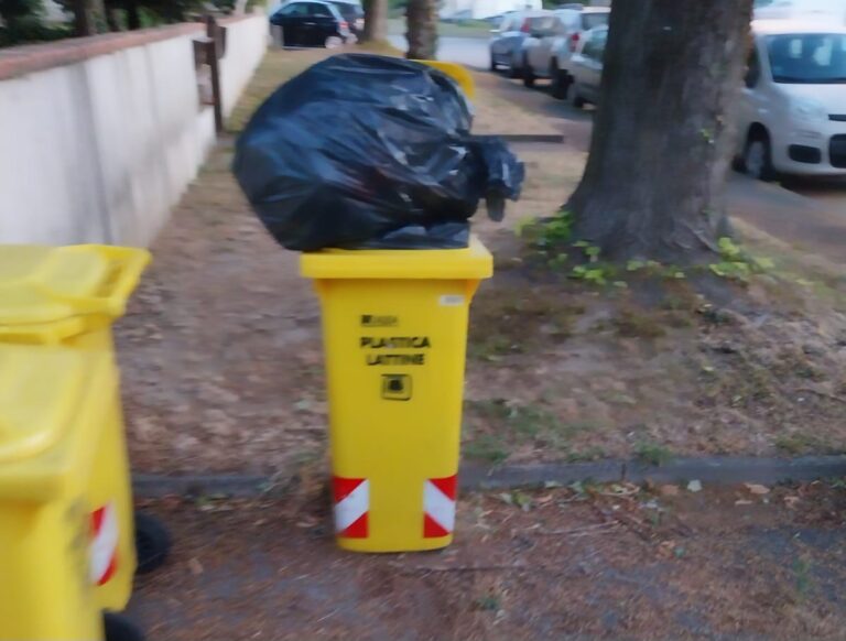 Alea Ambiente intensifica i controlli sul territorio