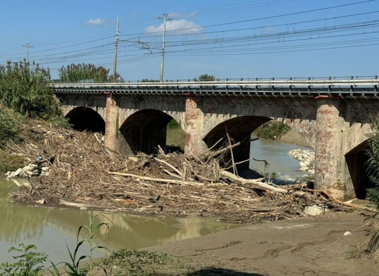 Alluvione, Forlì: ai Romiti il ponte della ferrovia ostruito da rami e alberi è un problema serio da risolvere