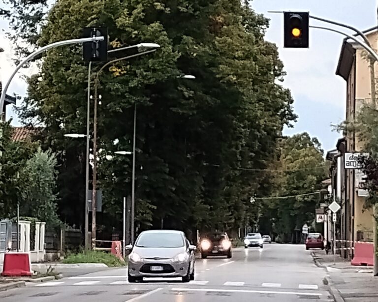 Forlimpopoli, attraversamento di via Diaz più sicuro grazie al nuovo semaforo pedonale