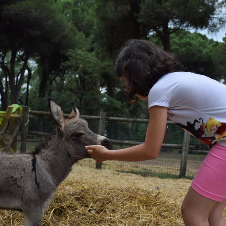 Turismo, il comico Paolo Cevoli promuove on line il Parco naturale di Cervia