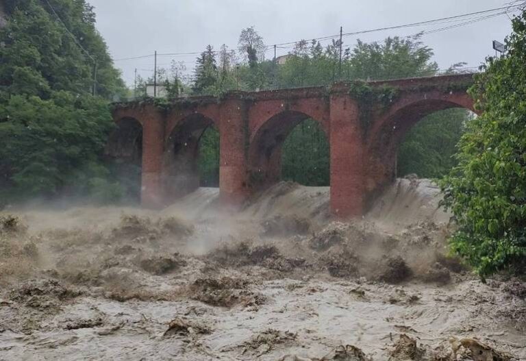 Cambiamento climatico e ambiente: un incontro a Mercato Saraceno per promuovere consapevolezza ed azione