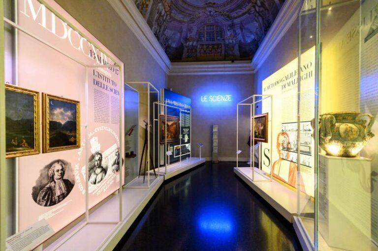 Grande successo dei Musei Civici di Bologna nel 2024. Incremento del +14% rispetto al 2023
