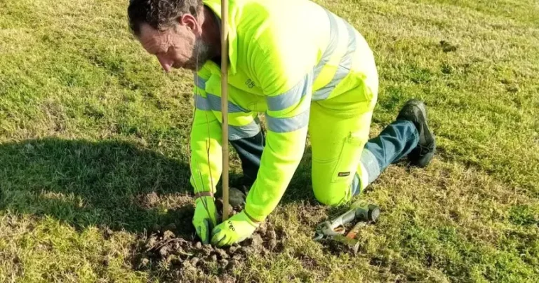 Dal palco del teatro ‘Bonci’ alla terra, un nuovo bosco nasce a Pievesestina