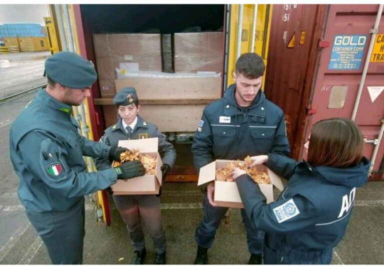 Operazione ADM e GdF contro il contrabbando di tabacchi nel Porto di Ravenna